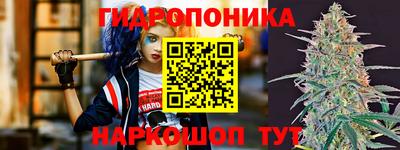 индика Первоуральск
